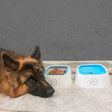 Load image into Gallery viewer, Pawstralia splash free water bowl can be used as food bowl by removing the floating disc
